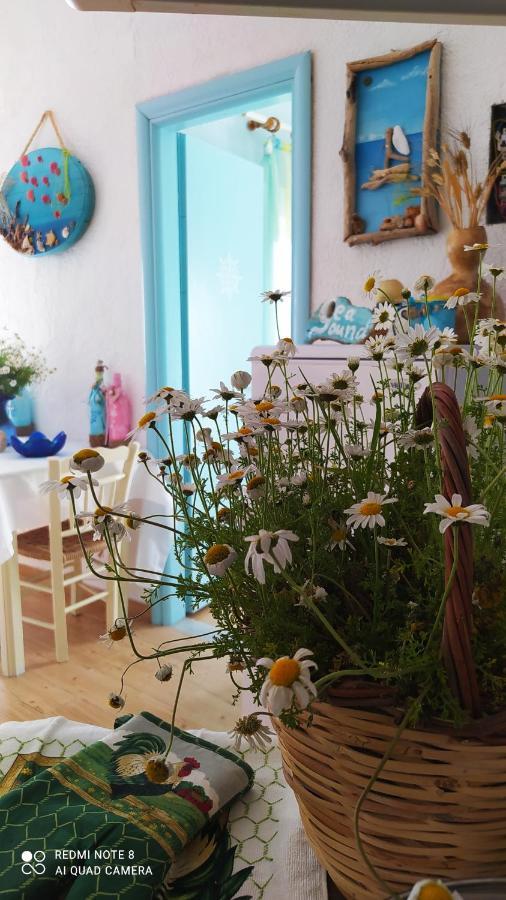 Ferienwohnung Socrates Sea View Kampos Marathokampou Exterior foto