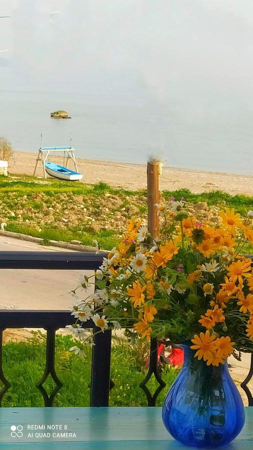 Ferienwohnung Socrates Sea View Kampos Marathokampou Exterior foto